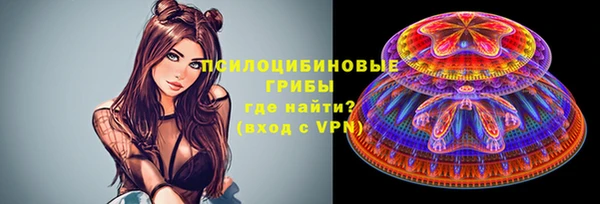 дживик Армянск