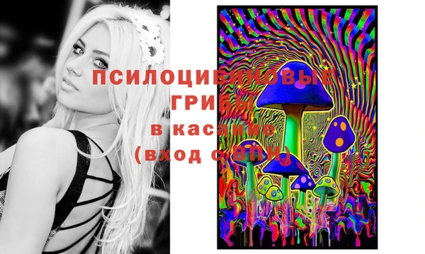 дживик Армянск