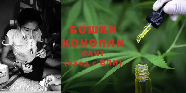 PSILOCYBIN Арсеньев