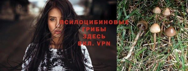 дживик Армянск
